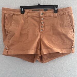 Torrid Brown Button Fly Twill Military Shorts Size 22 NWT